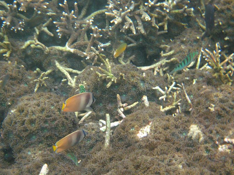 trip_bali 485 
